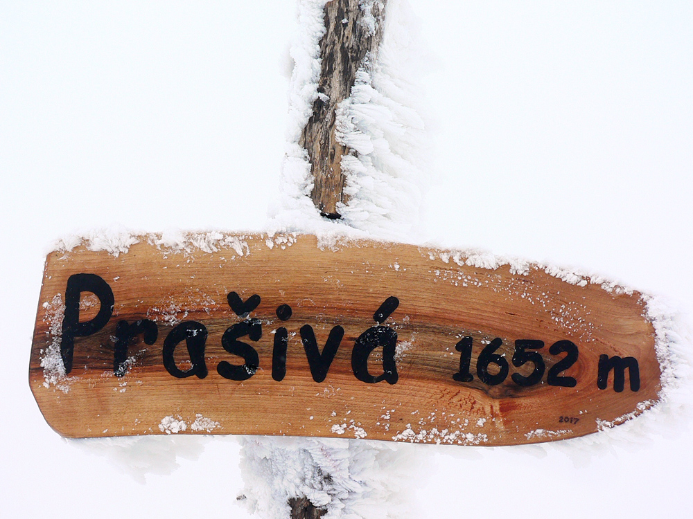 mliecna-tentokrat-sobota-prasiva-–-latiborska-hola