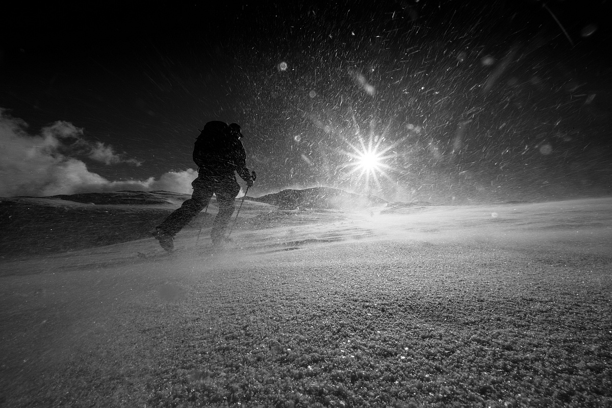 vlakom-za-prasanom-na-vianoce