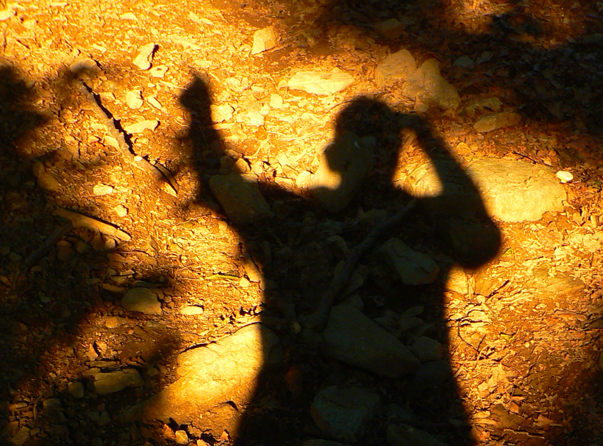 ranne-pobehanie-po-holiach-tych-martinskych