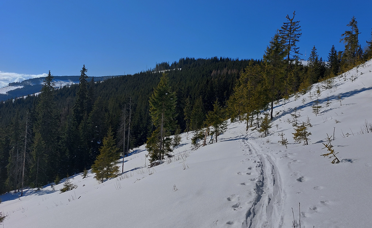 Nazad_v_stope,_smer_už_správny,_Kráľova_hoľa_vpredu.