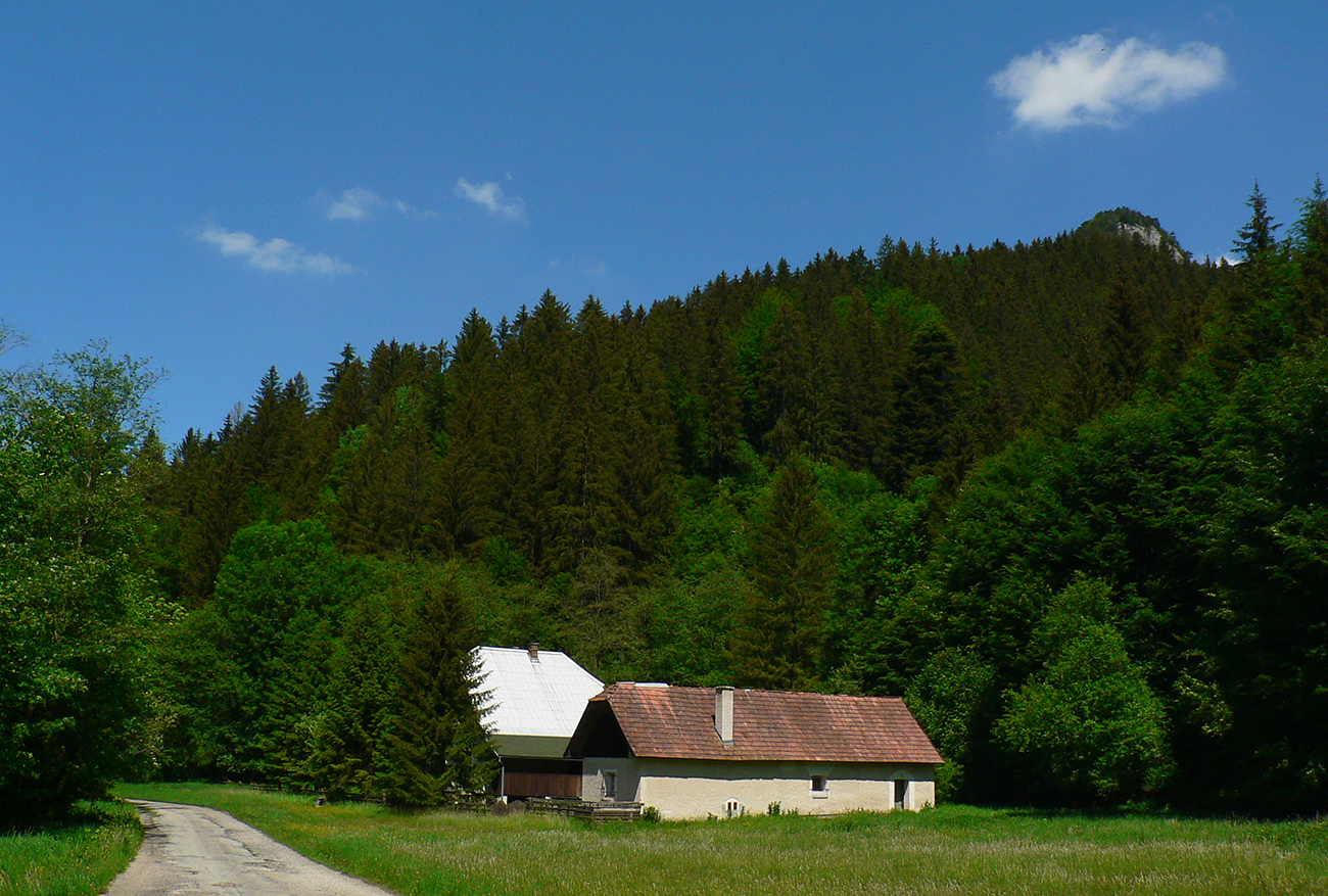 ...a iných pekných zákutí (hore bralá pod Morávkovou). ...a_iných_pekných_zákutí_(hore_bralá_pod_Morávkovou).