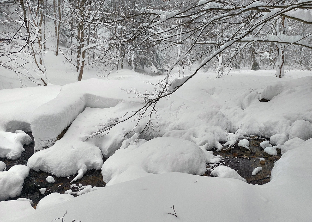 ...cez potok popri zvyškoch mosta už som musel prenášať. ...cez_potok_popri_zvyškoch_mosta_už_som_musel_prenášať.