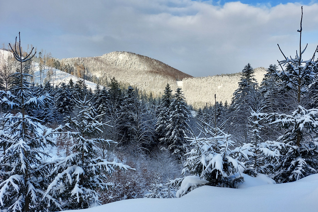 Nad_druhou_serpentínou_otvorili_sa_pohľady_na_náprotivnú_Kojšovú.