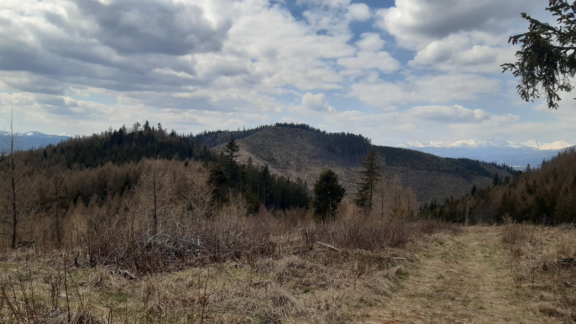 Kozí kameň už vidno v pozadí Kozí_kameň_už_vidno_v_pozadí