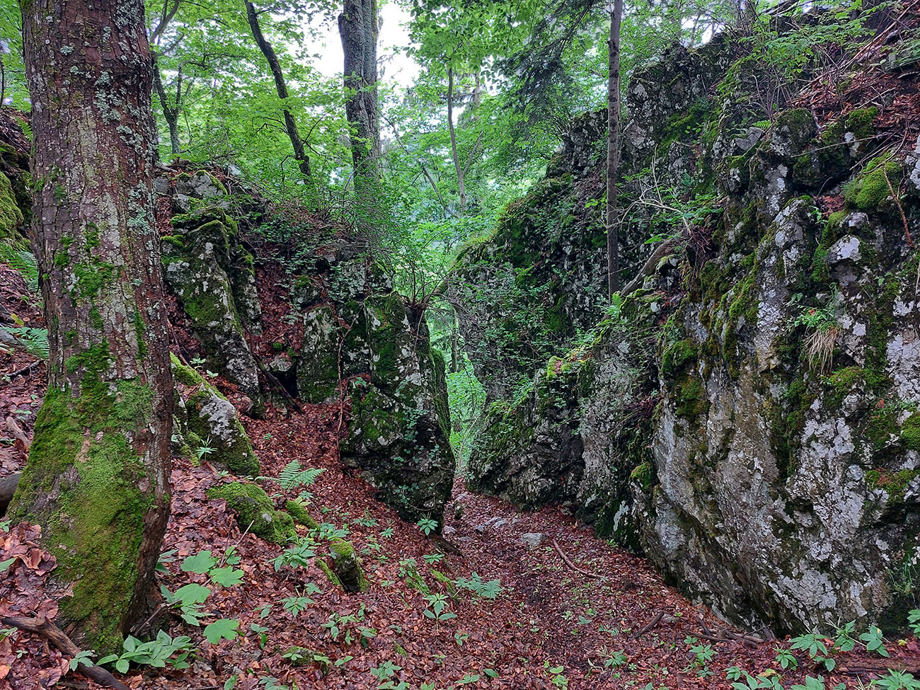 Zlatý_klinec_programu_pod_Rúbaňou.