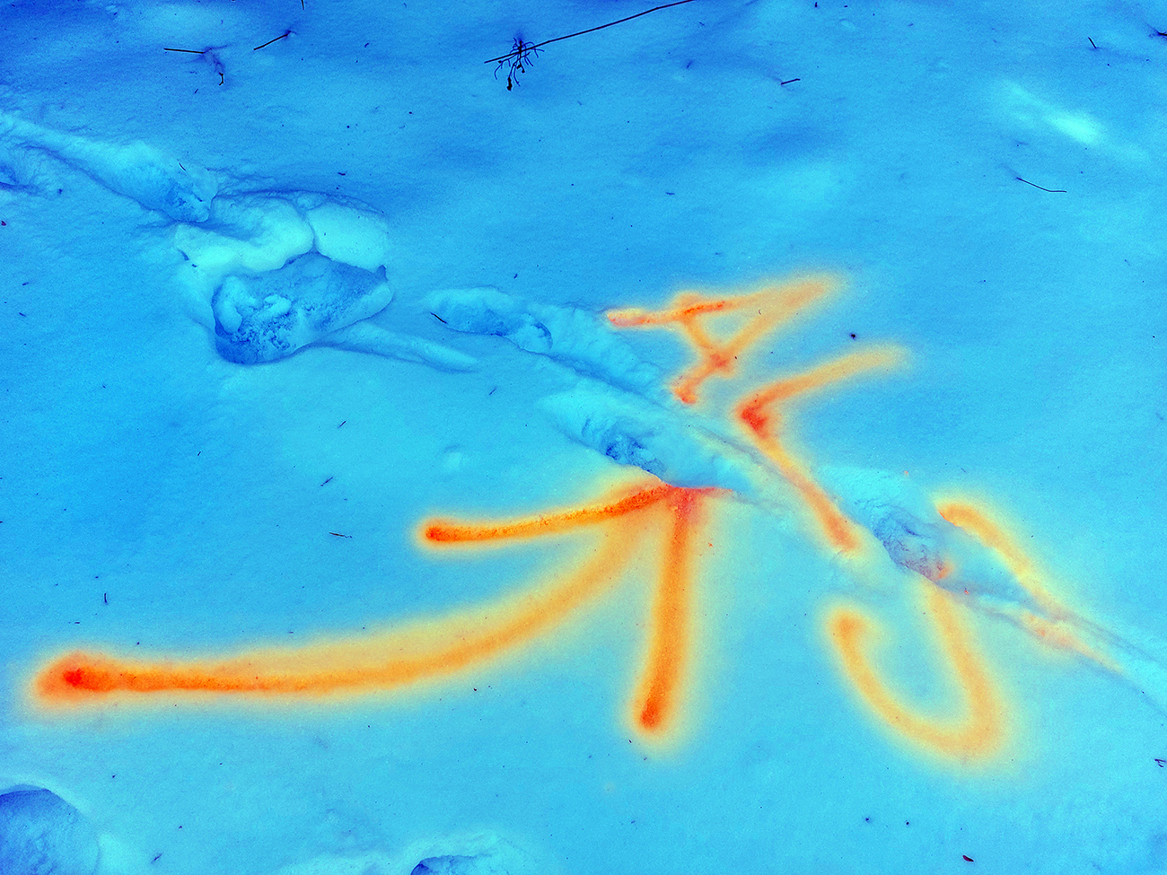 als-beh-kozi-kamen-2025