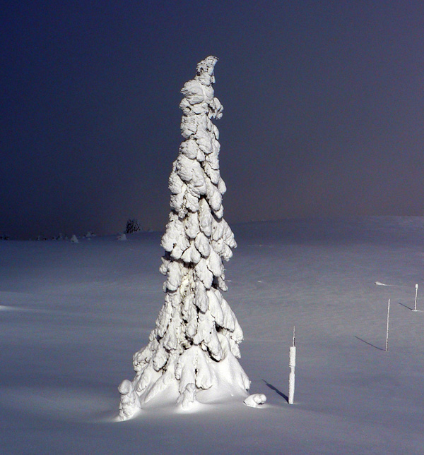 skialpovy-partizansky-frirajd-z-martinskych-holi